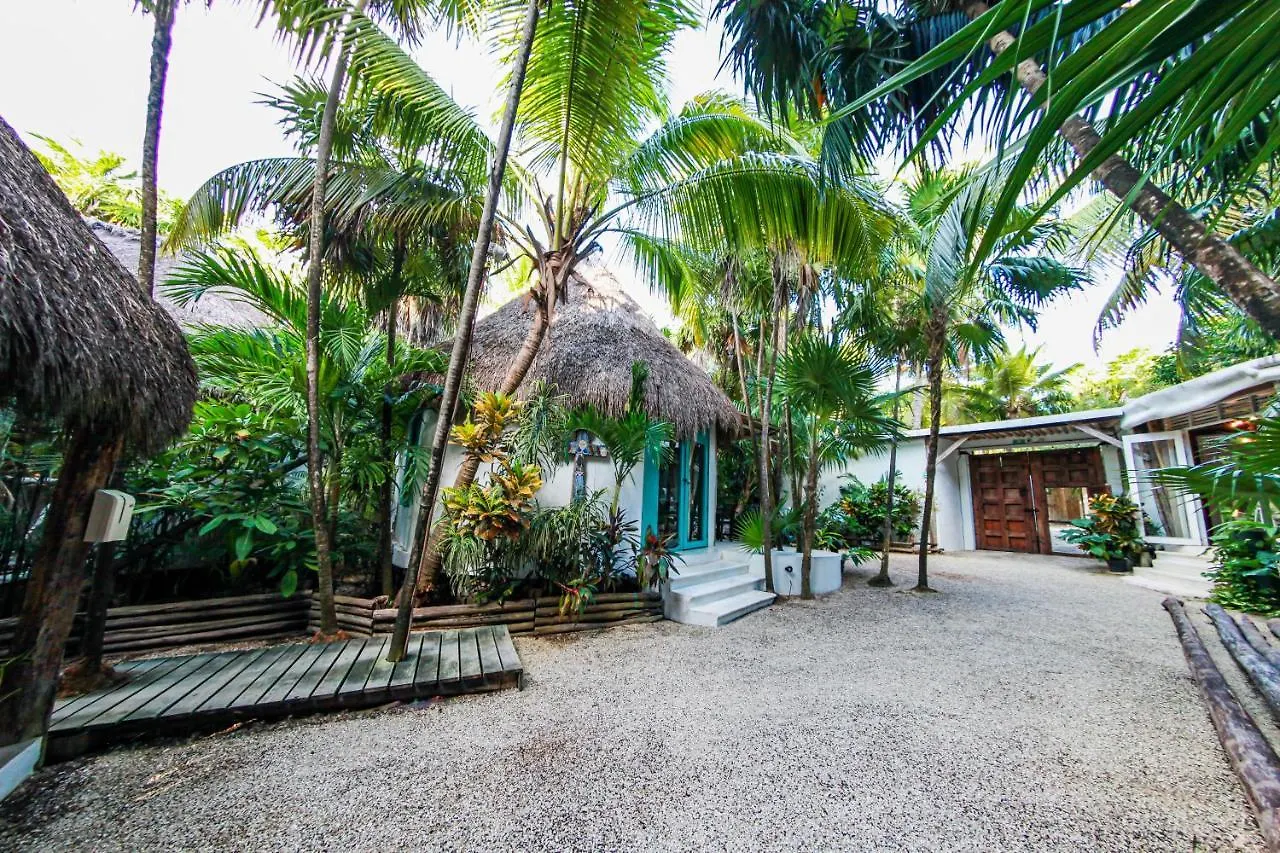 ***  Hotel Cormoran Tulum & Cenote Мексика